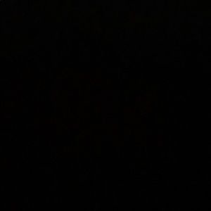 Meet your Posher, Everett